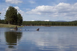 Monte Verde Lake